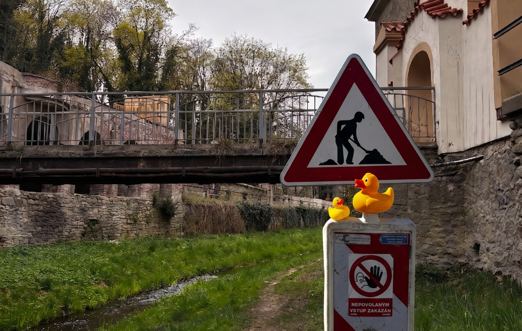 Kačky 26 upravený AI